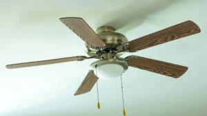 Which Type of Motor Is Used in Ceiling Fans?